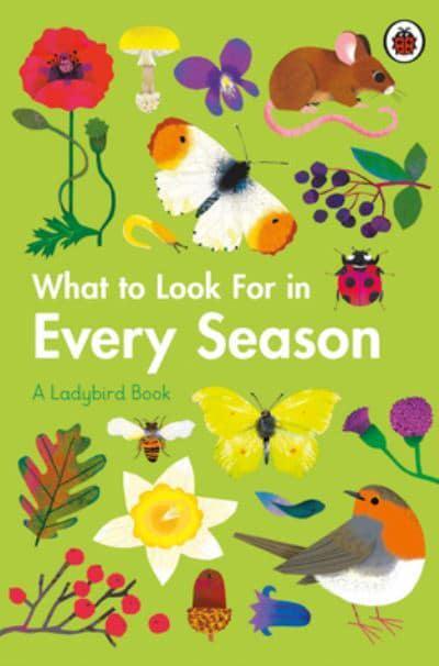 What to Look for in Every Season