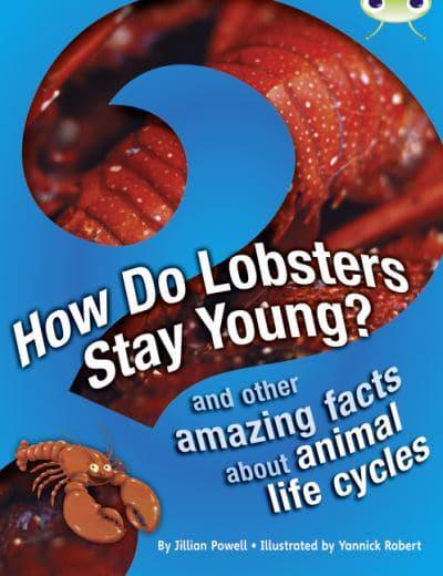 How Do Lobsters Stay Young? And Other Amazing Facts About Animal Life  Cycles : Jillian Powell (author), : 9780435075781 : Blackwell's