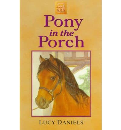Pony in the Porch