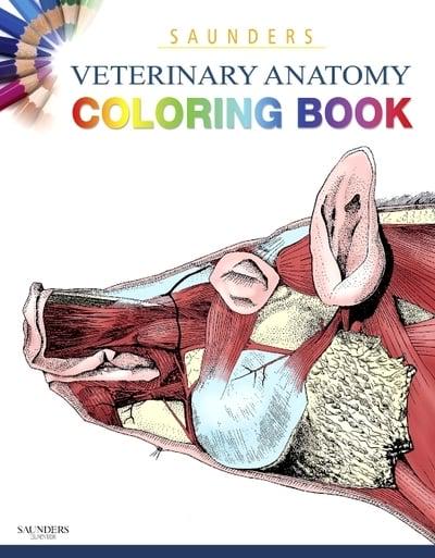 Saunders Veterinary Anatomy Coloring Book : Baljit Singh, : 9781437714395 :  Blackwell's