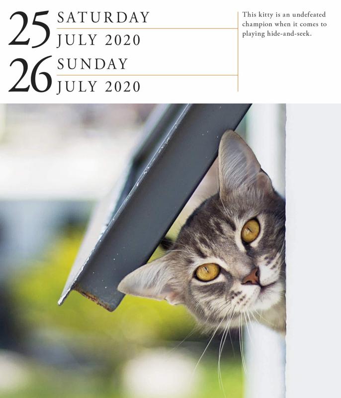 cat-page-a-day-gallery-calendar-2020-workman-calendars-author-9781523506422-blackwell-s