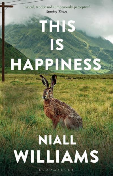 book review this is happiness