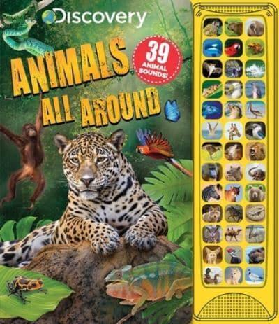 Discovery: Animals All Around : Courtney Acampora : 9781684129720 :  Blackwell's