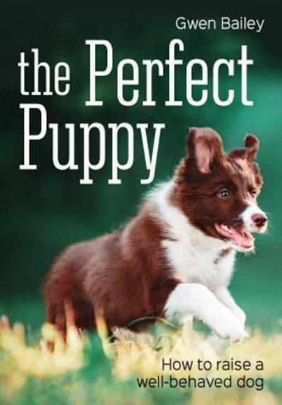 The Perfect Puppy : Gwen Bailey : 9781770859111 : Blackwell's