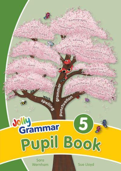 Grammar 5 Pupil Book Sara Wernham 9781844144822 - 