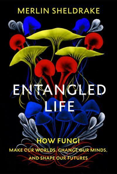 entangled life sheldrake