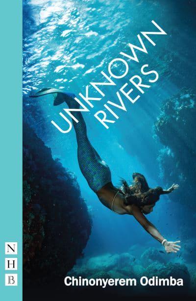 Unknown Rivers : Chino Odimba (author) : 9781848429208 : Blackwell's