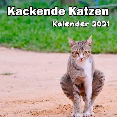Kackende Katzen Kalender 2021 : Akil Zbara (author) : 9798709411173 :  Blackwell's