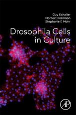 Drosophila Cells in Culture - Guy Echalier, Norbert Perrimon, Stephanie Elizabeth Mohr