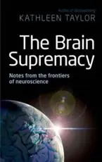 The Brain Supremacy