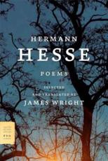 Poems - Hermann Hesse (author), Professor James Wright (translator)