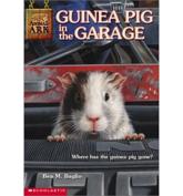 Guinea Pig in the Garage