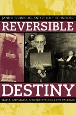 Reversible Destiny - Jane Schneider, Peter T. Schneider