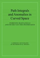 Path Integrals and Anomalies in Curved Space