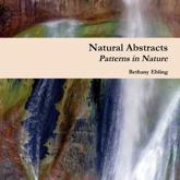 Natural Abstracts     Patterns in Nature - Ebling, Bethany