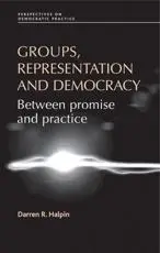 Groups, representation and democracy: Between promise and practice