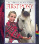 The Usborne Riding School First Pony Kit