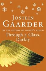 Through a Glass, Darkly - Jostein Gaarder