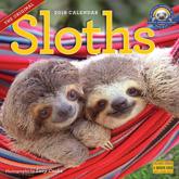 Sloths Wall Calendar 2018
