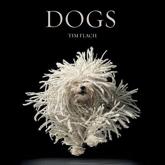 Dogs/gods - Lewis Blackwell (author), Tim Flach (photographer)