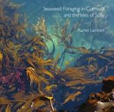 Seaweed Foraging in Cornwall and the Isles of Scilly