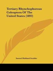 Tertiary Rhynchophorous Coleoptera Of The United States (1893) - Samuel Hubbard Scudder