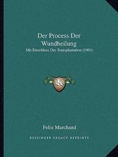 Der Process Der Wundheilung - Felix Marchand (author)