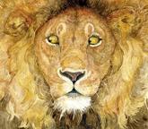 The Lion & The Mouse - Jerry Pinkney, Aesop