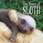 The Power of Sloth