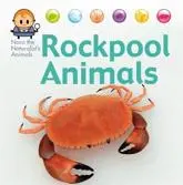 Rock Pool Animals