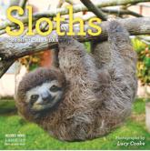 Sloths Mini Wall Calendar 2018
