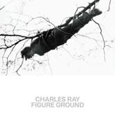 Charles Ray - Figure Ground
