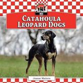 Catahoula Leopard Dogs - Joanne Mattern