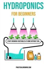 Hydroponics for Beginners: Start Growing Vegetables at Home Without Soil - Jones, Nick