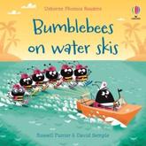 Bumblebees on Water Skis - Russell Punter (author), David Semple (artist)