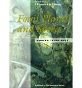 Fossil Plants and Spores
