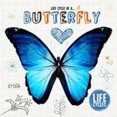 Life Cycle of A... Butterfly