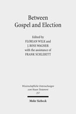 Between Gospel and Election - Frank Schleritt (editor), J. Ross Wagner (editor), Florian Wilk (editor)