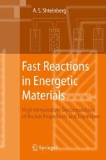 Fast Reactions in Energetic Materials: High-Temperature Decomposition of Rocket Propellants and Explosives - Shteinberg, Alexander S.