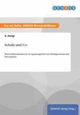 Schufa und Co.:Wirtschaftsauskunfteien im Spannungsfeld von GlÃ¤ubigerschutz und PrivatsphÃ¤re - Dengl, G.
