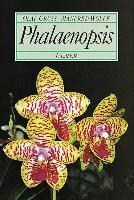 Phalaenopsis - GruÃŸ, Olaf