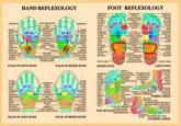 Hand & Foot Reflexology -- A2 - Jan van Baarle