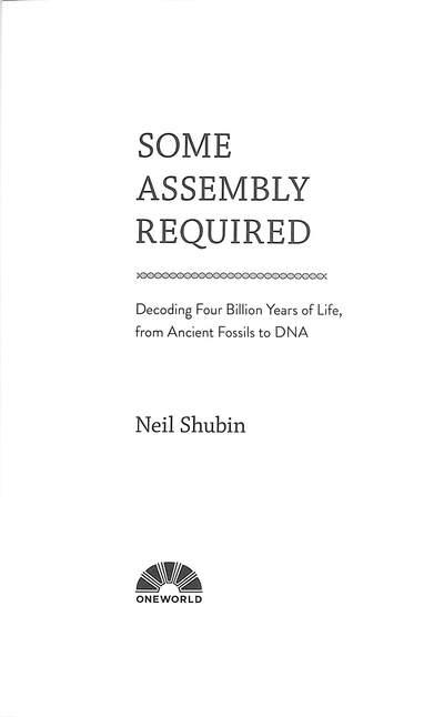 some assembly required book arin andrews