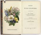 British Wild Flowers. Illustrated by John E. Sowerby. Described, with an Introduction and a Key to the Natural Orders. Re-issue: to which is added a Supplement containing 180 figures of lately discovered flowering plants by John W. Salter, and the Ferns, Horsetails, and Club-mosses by John E. Sowerby.